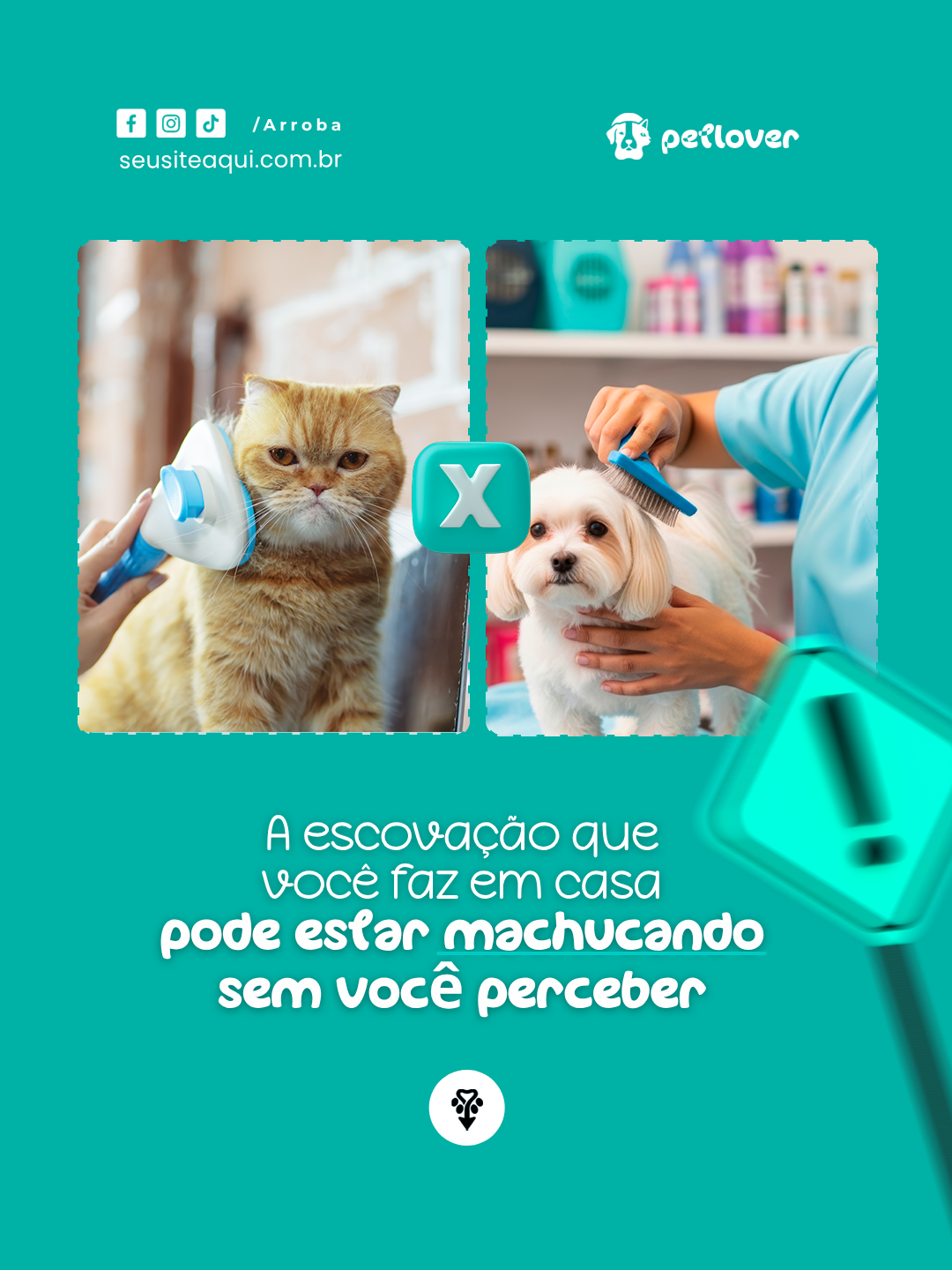 Arte de autoridade sobre escovação em casa