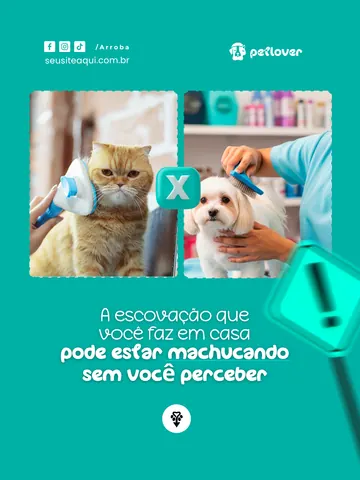 Arte de autoridade sobre escovação em casa