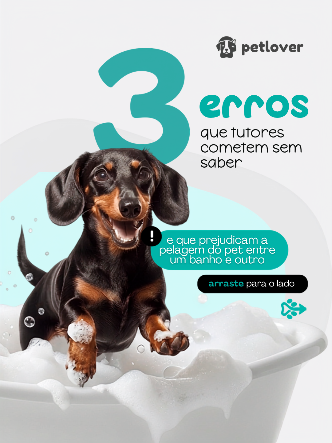 Carrossel de autoridade para banho e tosa