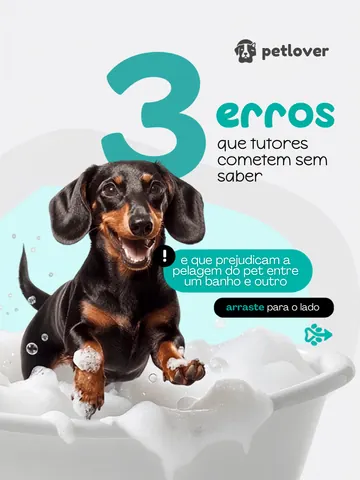 Carrossel de autoridade para banho e tosa