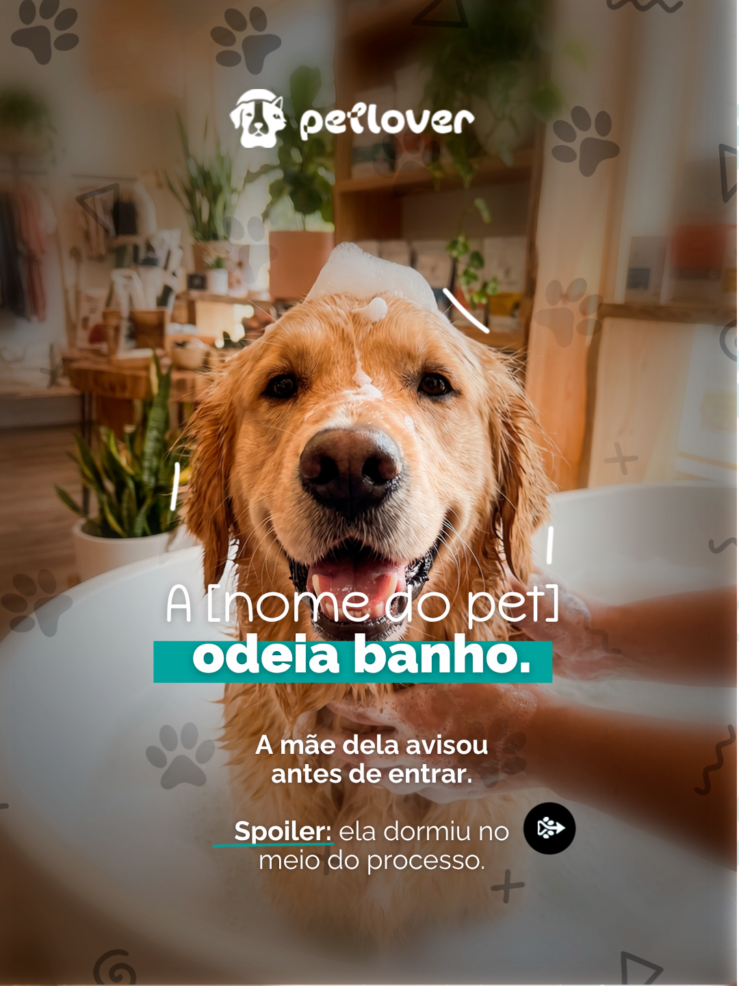 Arte de confiança sobre a experiência de banho do pet