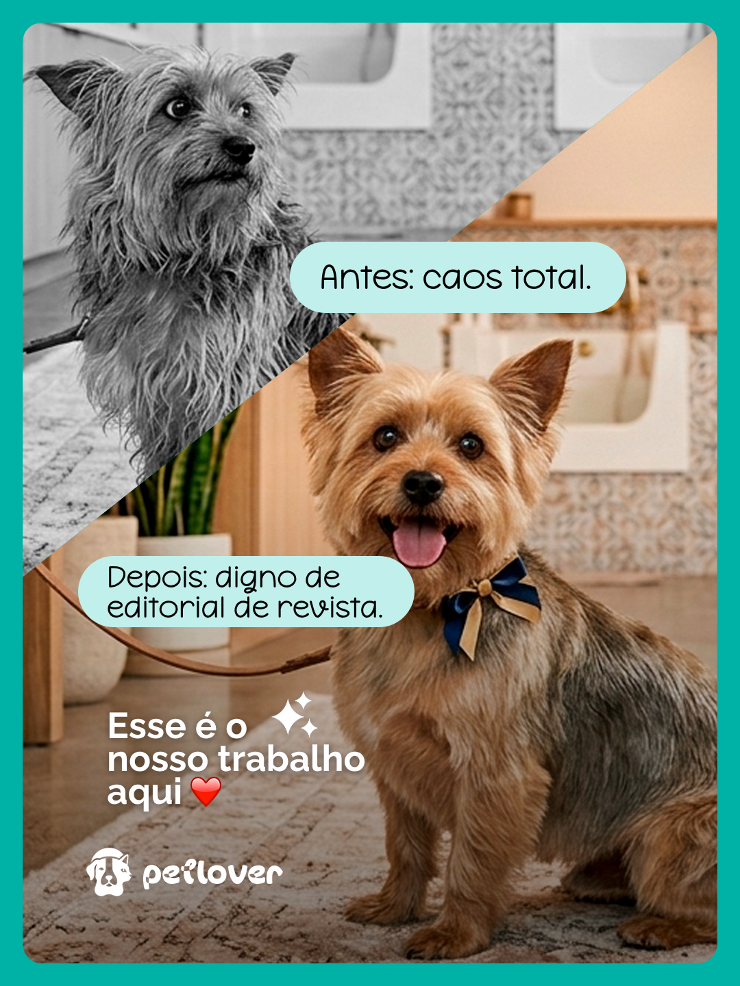 Arte de confiança com transformação antes e depois