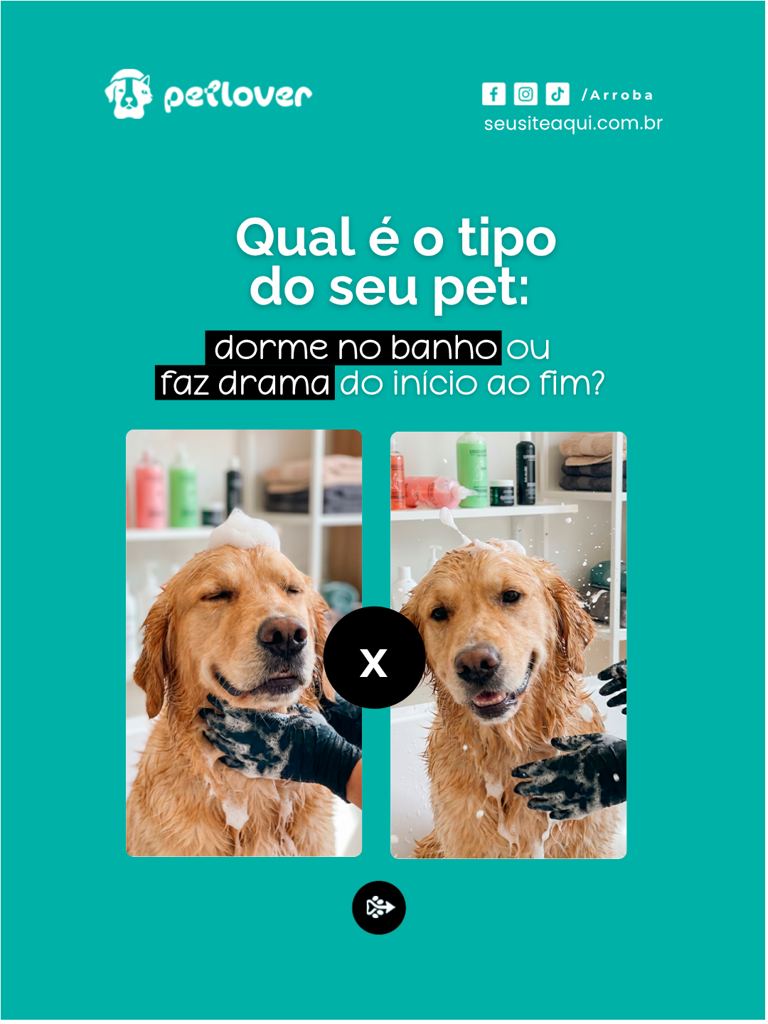 Arte de engajamento sobre o comportamento do pet no banho
