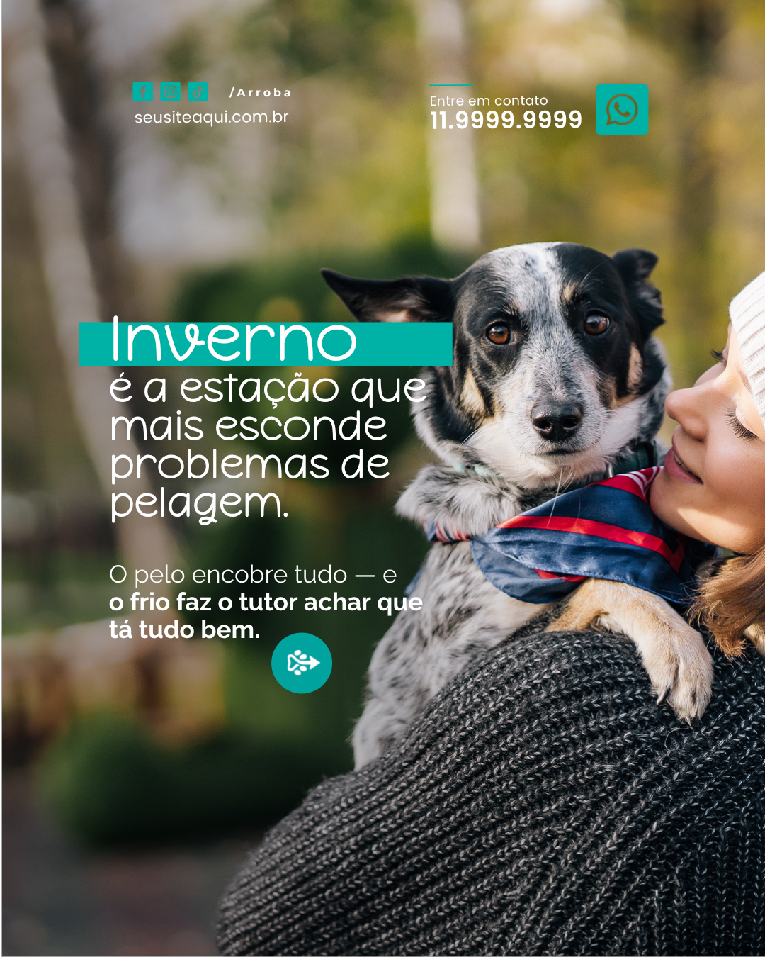 Arte sazonal sobre cuidados com a pelagem no inverno